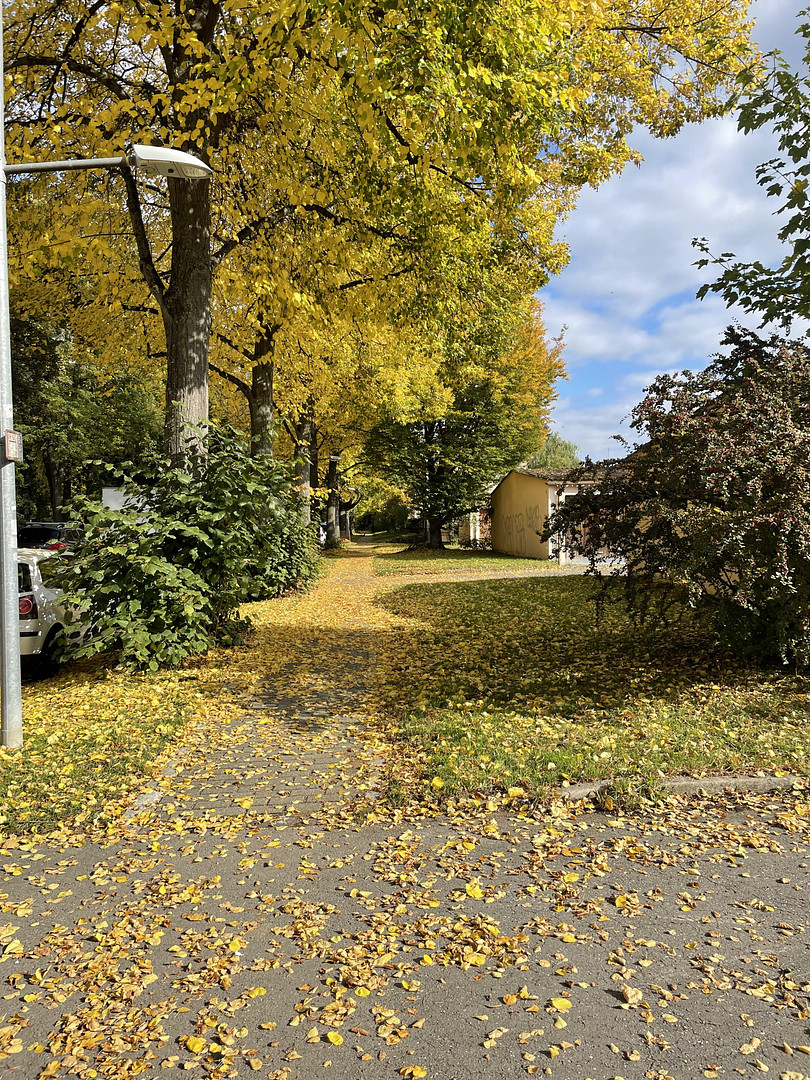 PROVISIONSFREI: Sanierter Wohntraum mit 9. OG Fernblick & Balkon - Einziehen & Wohlfühlen – Schildkrötenweg 2, 70499 Stuttgart(Bergheim) – Vorschaubild 27