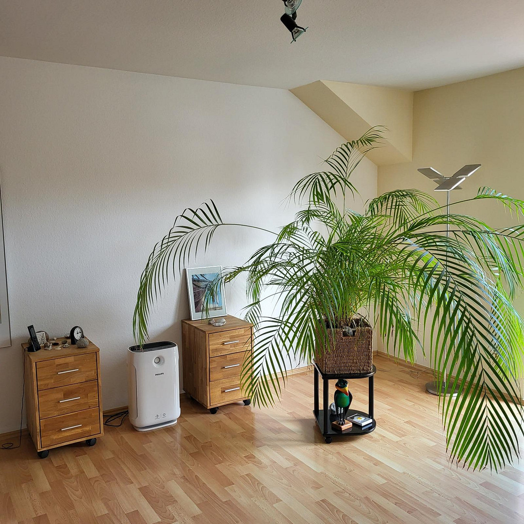 Wohnung zu Vermieten SZ-Thiede – 38239 Salzgitter(Thiede) – Vorschaubild 16