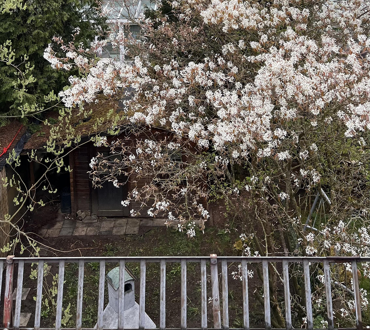Ohne Makler und *VHB* TOP-LAGE! Reihenhaus München, MUSTERSIEDLUNG Gartenschau: ruhig, grün, zentral