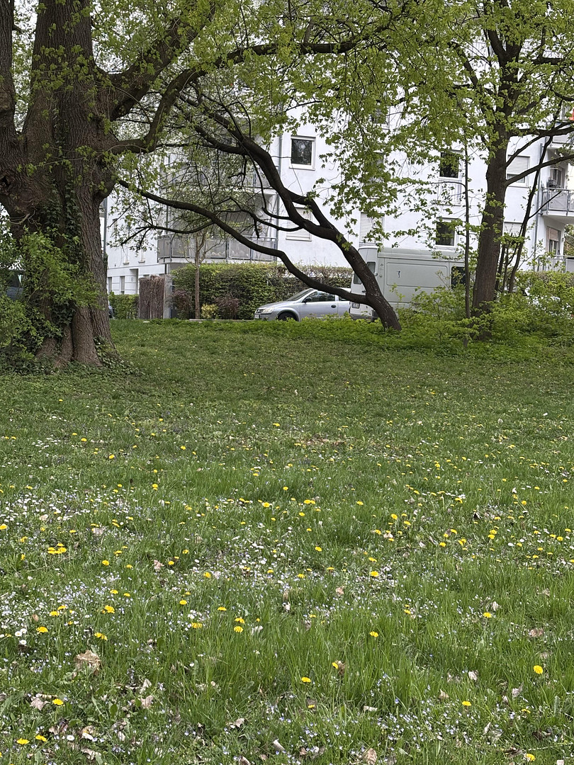 Reserviert - Gartenoase am Lech – Attraktive Gartenwohnung in Augsburg-Hochzoll – Augsburg(Hochzoll) – Vorschaubild 18