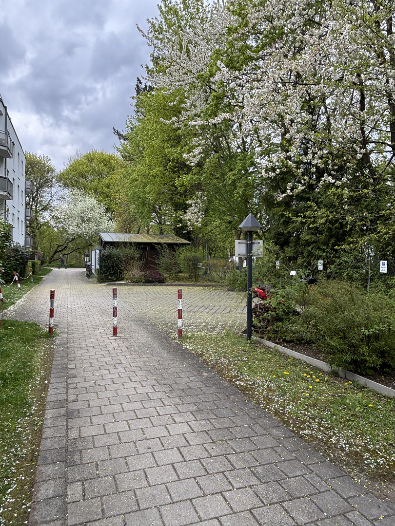 Reserviert - Gartenoase am Lech – Attraktive Gartenwohnung in Augsburg-Hochzoll – Augsburg(Hochzoll) – Vorschaubild 19