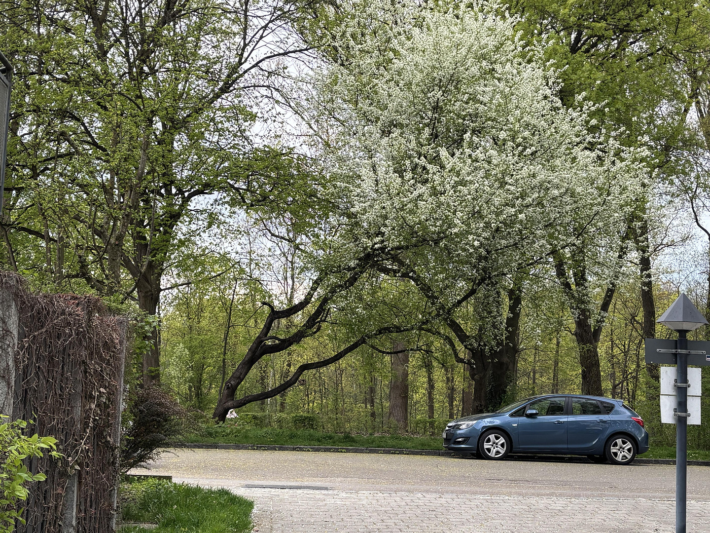 Reserviert - Gartenoase am Lech – Attraktive Gartenwohnung in Augsburg-Hochzoll – Augsburg(Hochzoll) – Vorschaubild 16