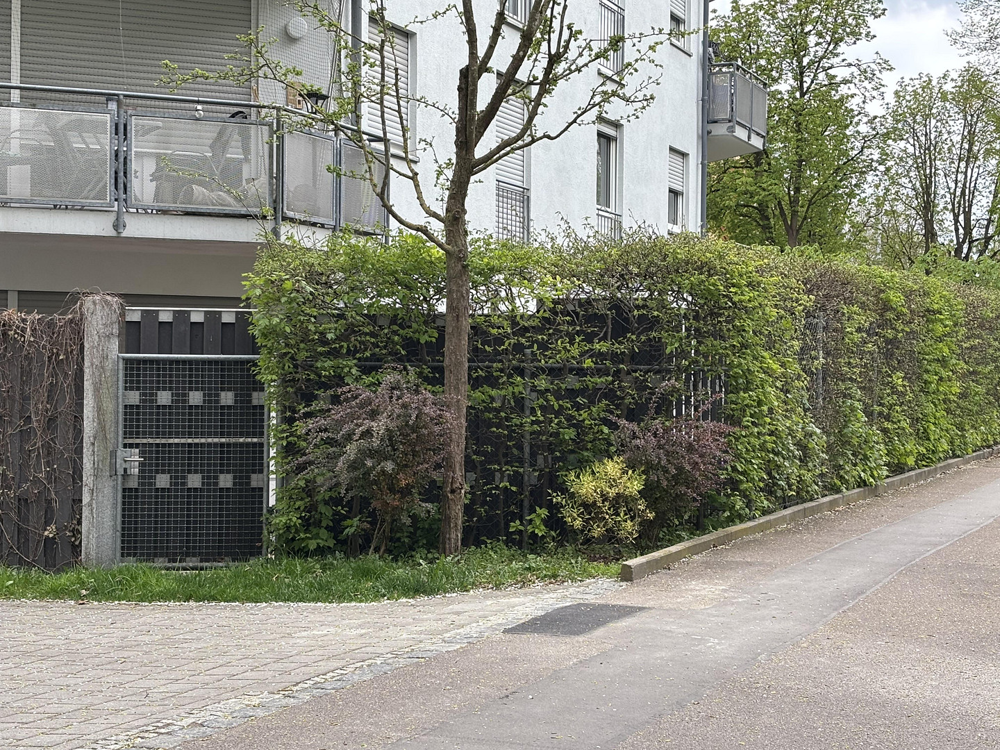 Reserviert - Gartenoase am Lech – Attraktive Gartenwohnung in Augsburg-Hochzoll – Augsburg(Hochzoll) – Vorschaubild 13