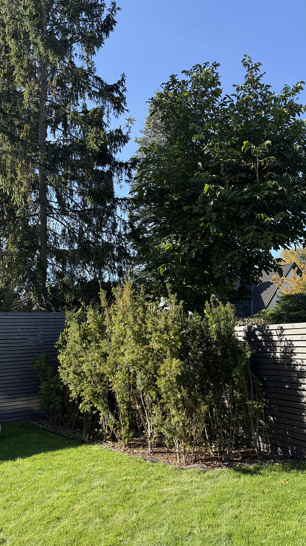 Modernes Endhaus am Brabandkanal mit großem Garten, Dachterrasse und Wellnessbereich – Am Brabandkanal 5d, 22297 Hamburg(Alsterdorf) – Vorschaubild 26