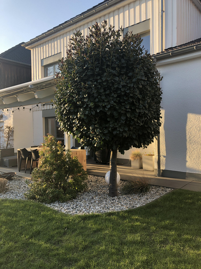 Familienfreundliches Niedrigenergiehaus in ruhiger Privatstraße – Bönen – Vorschaubild 18