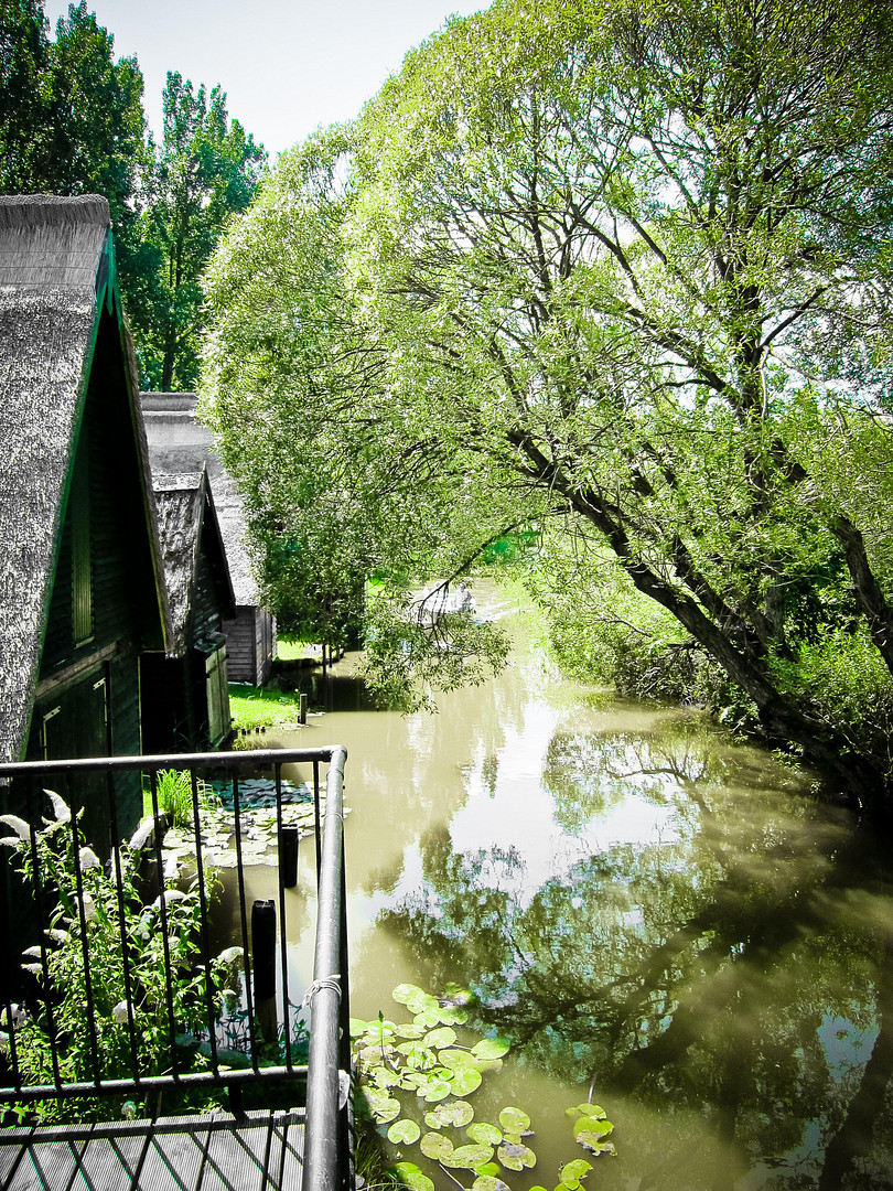 Reetgedecktes Bootshaus an der Mildenitz in Goldberg – Goldberg(Wendisch Waren) – Vorschaubild 19