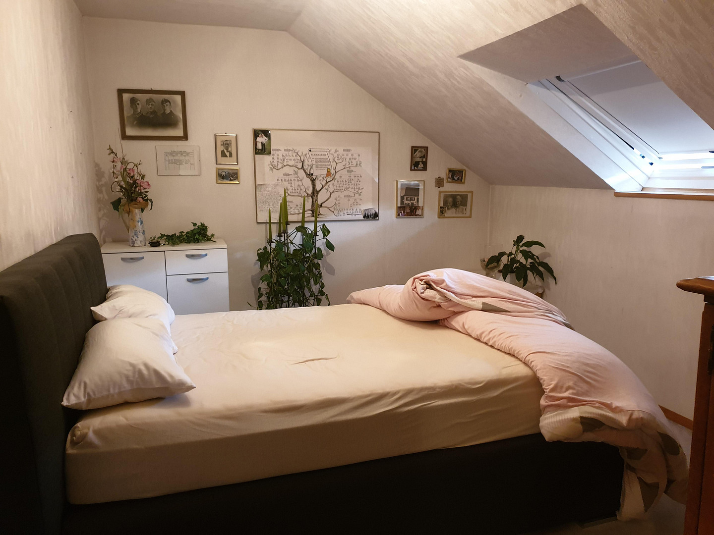 Exklusives Immobilien-Ensemble in Neckargemünd-Dilsberg: Historischer Charme trifft Moderne – Neuhofer Straße 34, 69151 Neckargemünd(Dilsberg) – Vorschaubild 9