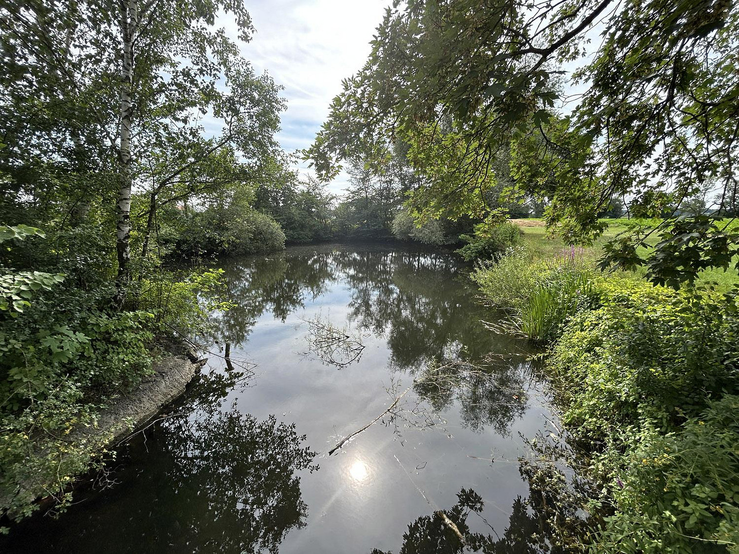 SCHMUCKSTÜCK Wohn-Geschäftshaus in Münchsmünster Kreis Pfaffenhofen – Ilmklause 1, 85126 Münchsmünster – Vorschaubild 6