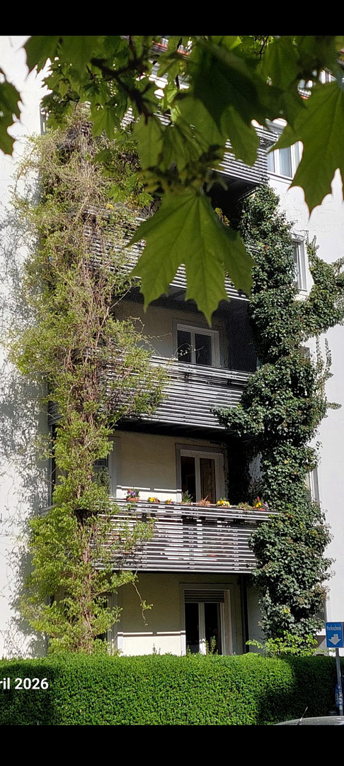 Urbane Wohnidylle im Vinzenzviertel - 3 Zimmer mit Altbauflair und Potential – Hedwigstrasse xx, 80636 München(Neuhausen) – Vorschaubild 19
