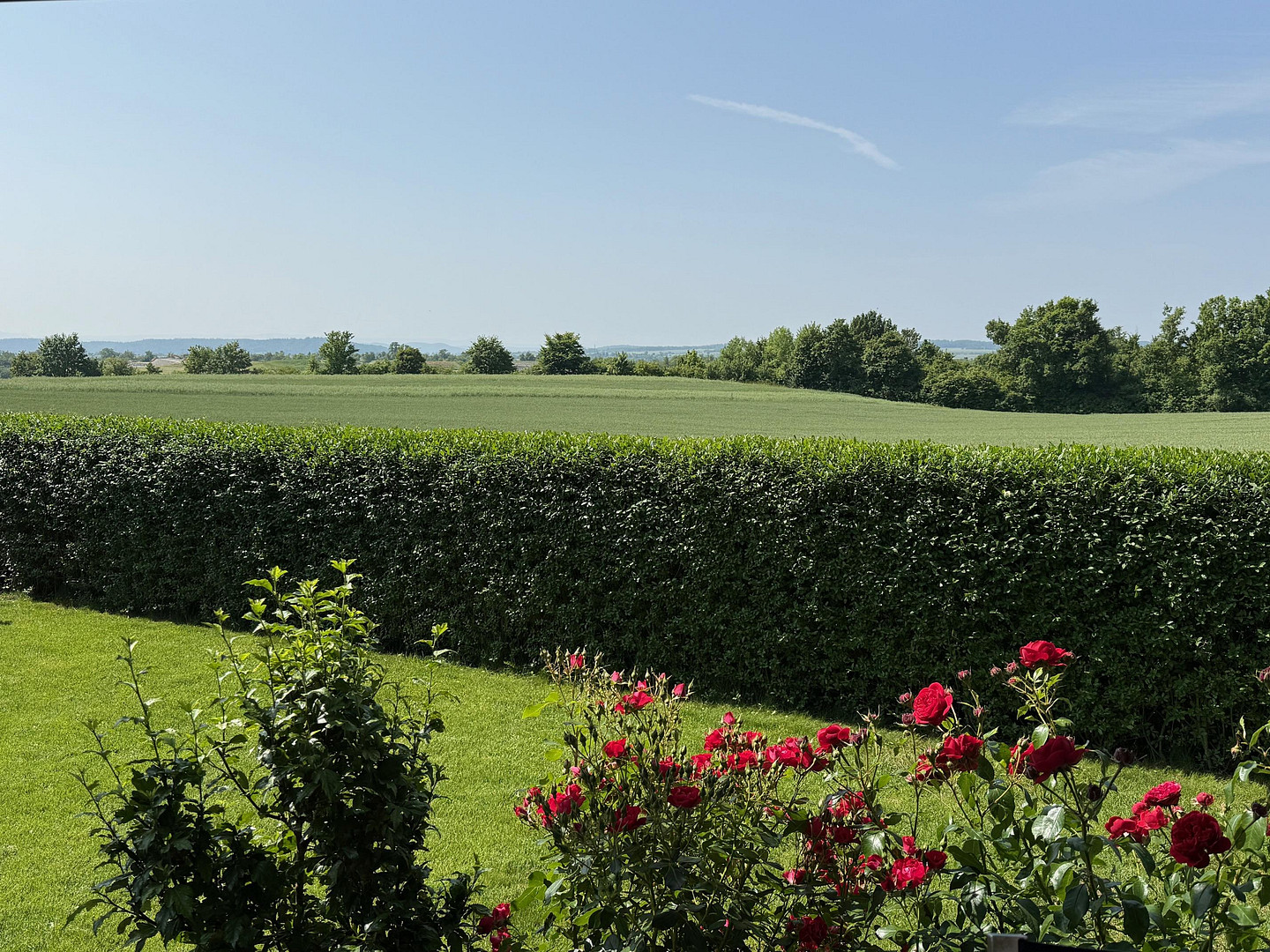 Freistehendes Einfamilienhaus in Bestlage von Herrenberg-Kayh – Feldrandlage, A+, Wärmepumpe – Luise-Schöffel-Weg 9, 71083 Herrenberg – Vorschaubild 6