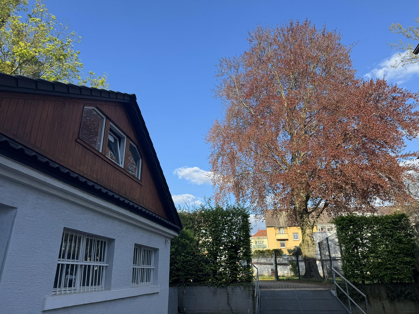 Attraktive DG-Wohnung - Citylage an Kuppelkirche, hohe Lebensqualität; von privat – Darmstadt – Vorschaubild 29