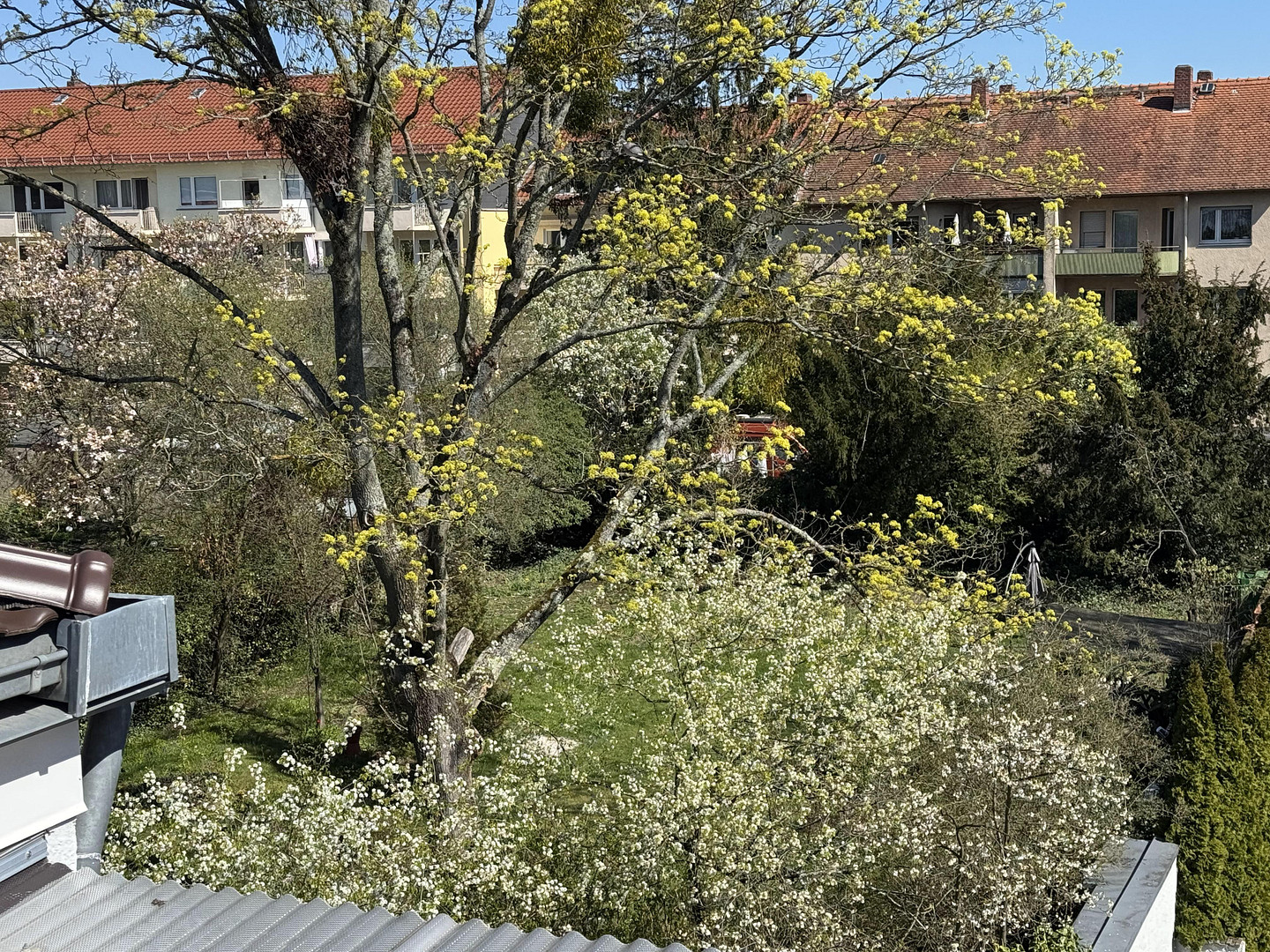Attraktive DG-Wohnung - Citylage an Kuppelkirche, hohe Lebensqualität; von privat – Darmstadt – Vorschaubild 25