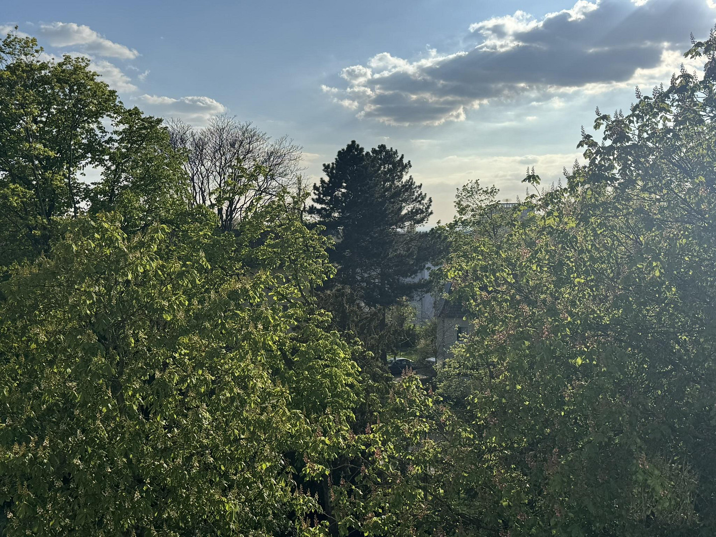 Attraktive DG-Wohnung - Citylage an Kuppelkirche, hohe Lebensqualität; von privat – Darmstadt – Vorschaubild 32