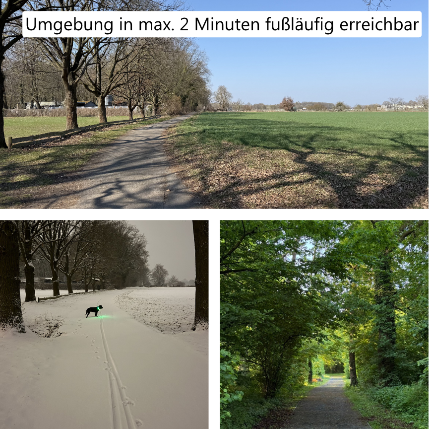 Kinderfreundlich, naturnah, provisionsfrei - Ihr Eigenheim in Kästorf – Im Wiesengrund 22, 38448 Wolfsburg(Kästorf) – Vorschaubild 7