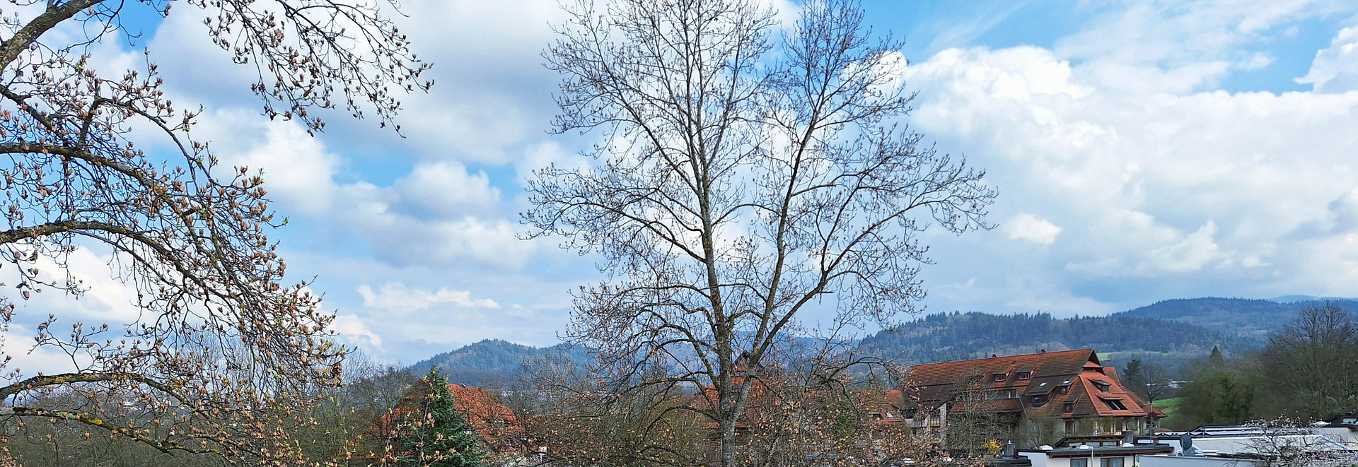 Provisionfrei. Direkt vom Eigentümer, St. Georgen-Freiburg: Hochwertige, 3-Zimmer Penthouse Wohnung – 79111 Freiburg im Breisgau(Sankt Georgen) – Vorschaubild 2