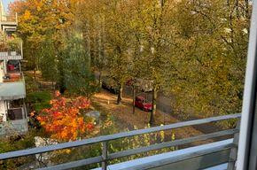 Penthouse - Wohnen am Tierpark - OHNE MAKLER! – Hagenbeckstr. 167, 22527 Hamburg(Stellingen) – Vorschaubild 19