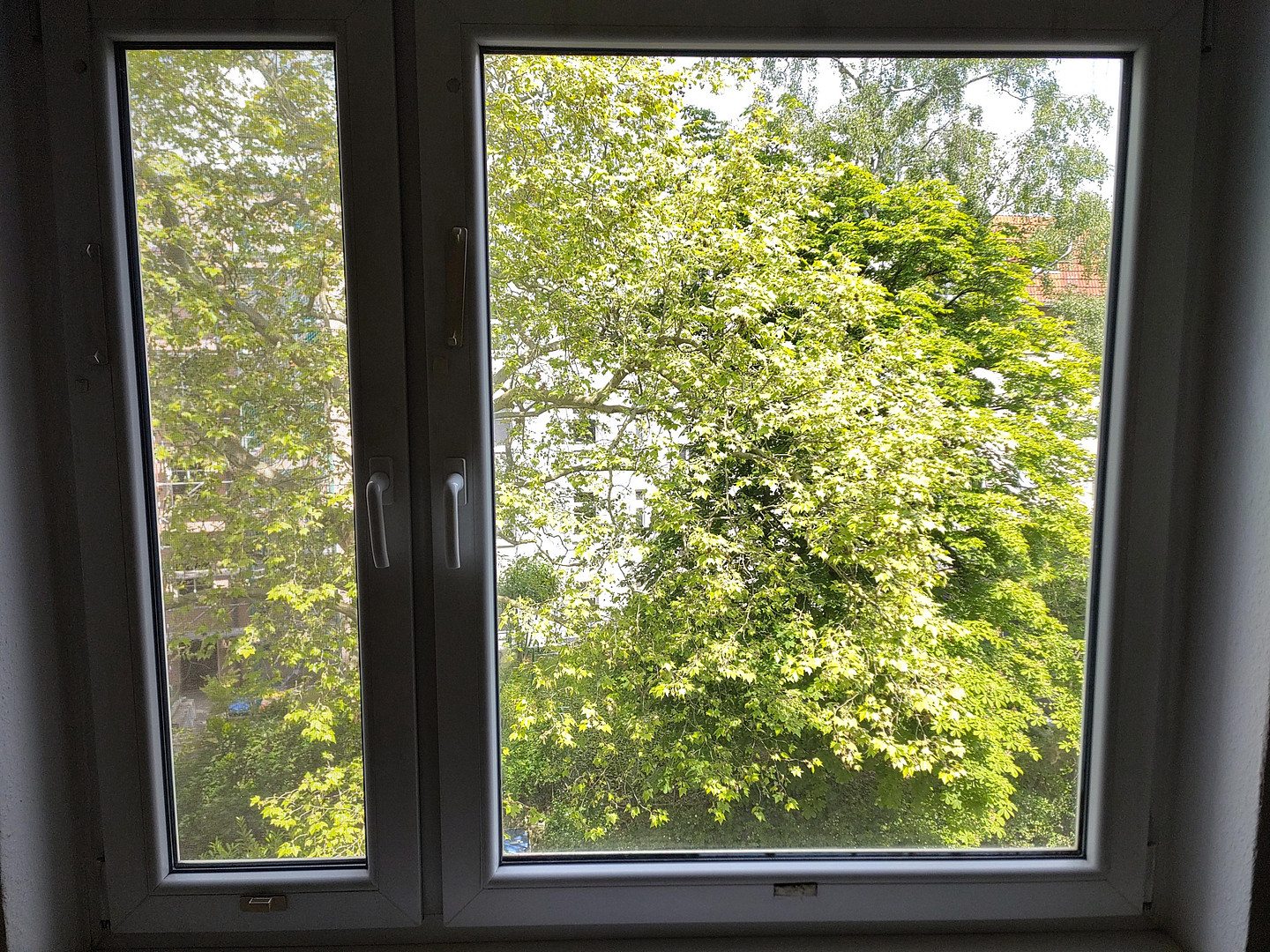 Unvermietete helle 2-Zimmer-Wohnung im 3. OG mit Balkon und PKW-Stellplatz in Steglitz zu verkaufen – Birkbuschstraße 92, 12167 Berlin(Steglitz) – Vorschaubild 20