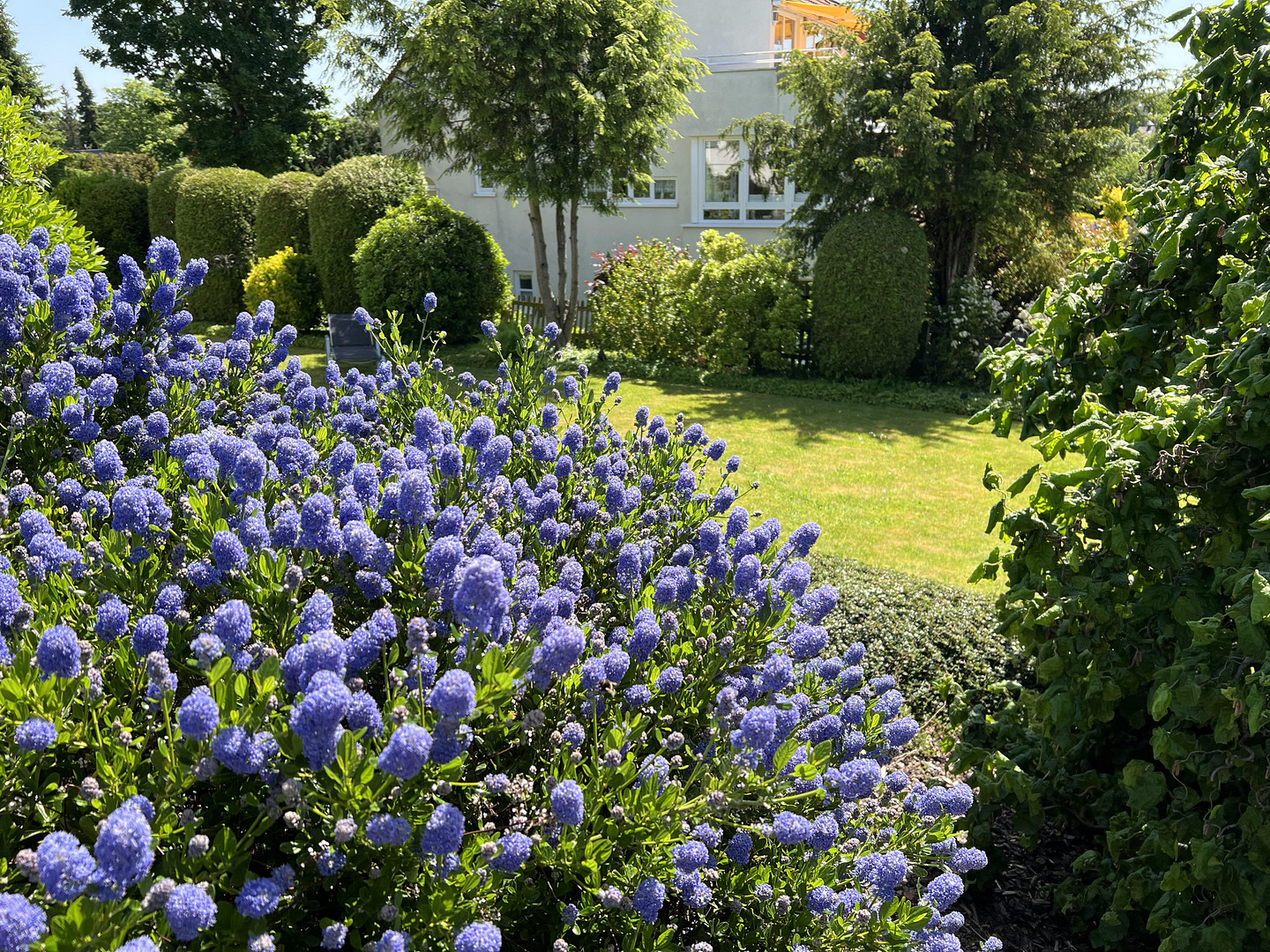 Repräsentatives Einfamilienhaus in Bestlage des Hochschulviertels – Hagen – Vorschaubild 10