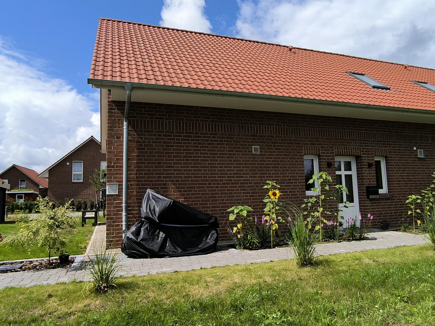 Sonnige DHH in Elbnähe KFW40 – Drage – Vorschaubild 2