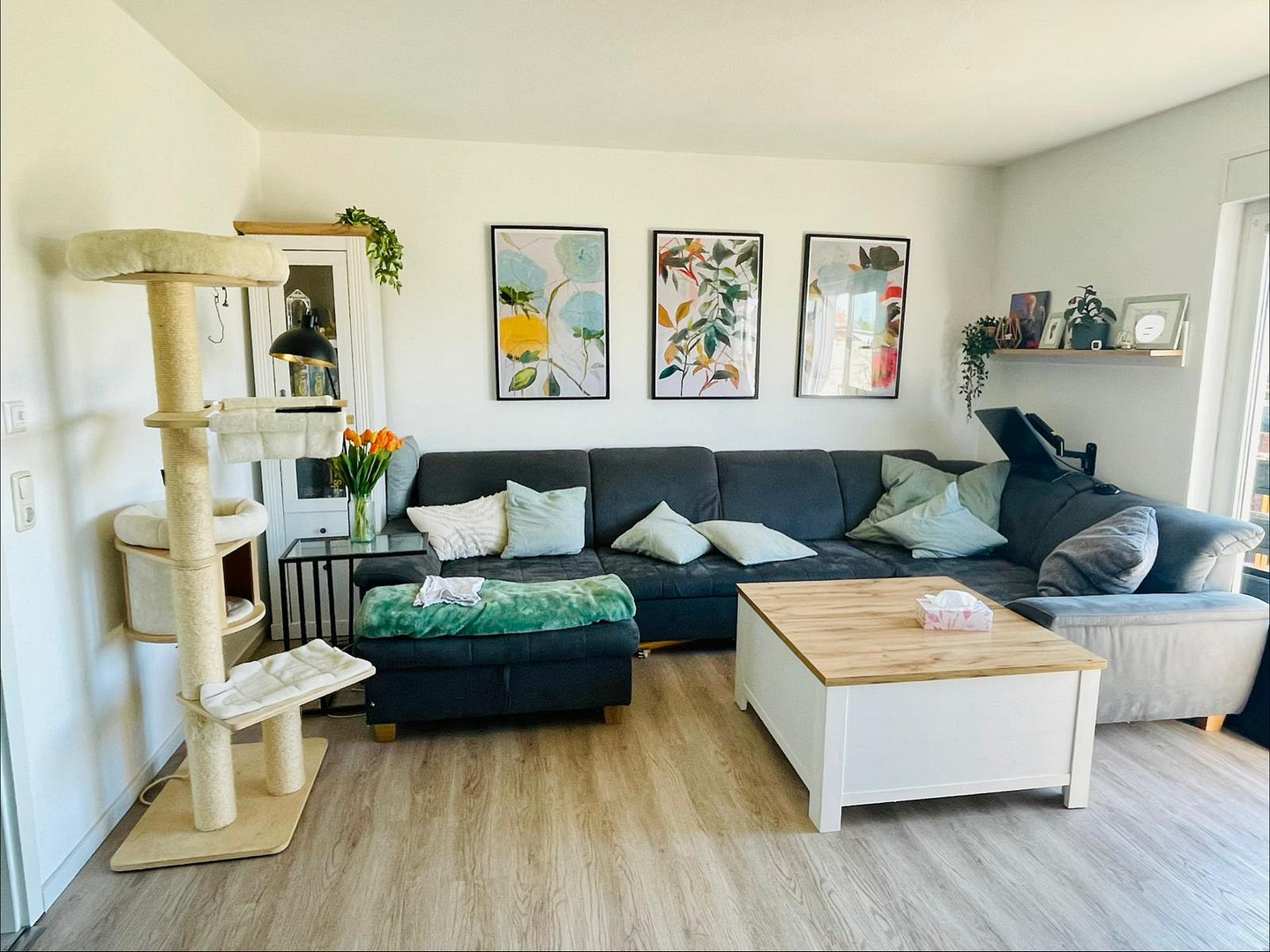 Haus mieten in Bernburg – Am Baalberger Sportplatz 5 b, 6406 Bernburg OT Baalberge(Baalberge) – Vorschaubild 12