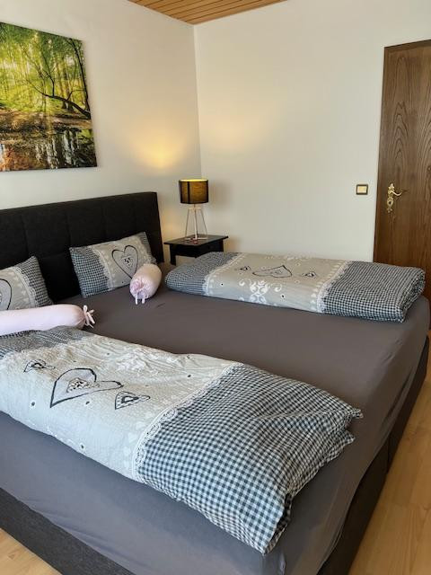 Zweifamilienhaus Schönbrunner Str. 11a  in 69436 Schönbrunn-Allemühl – Schönbrunn-Allemühl(Allemühl) – Vorschaubild 28