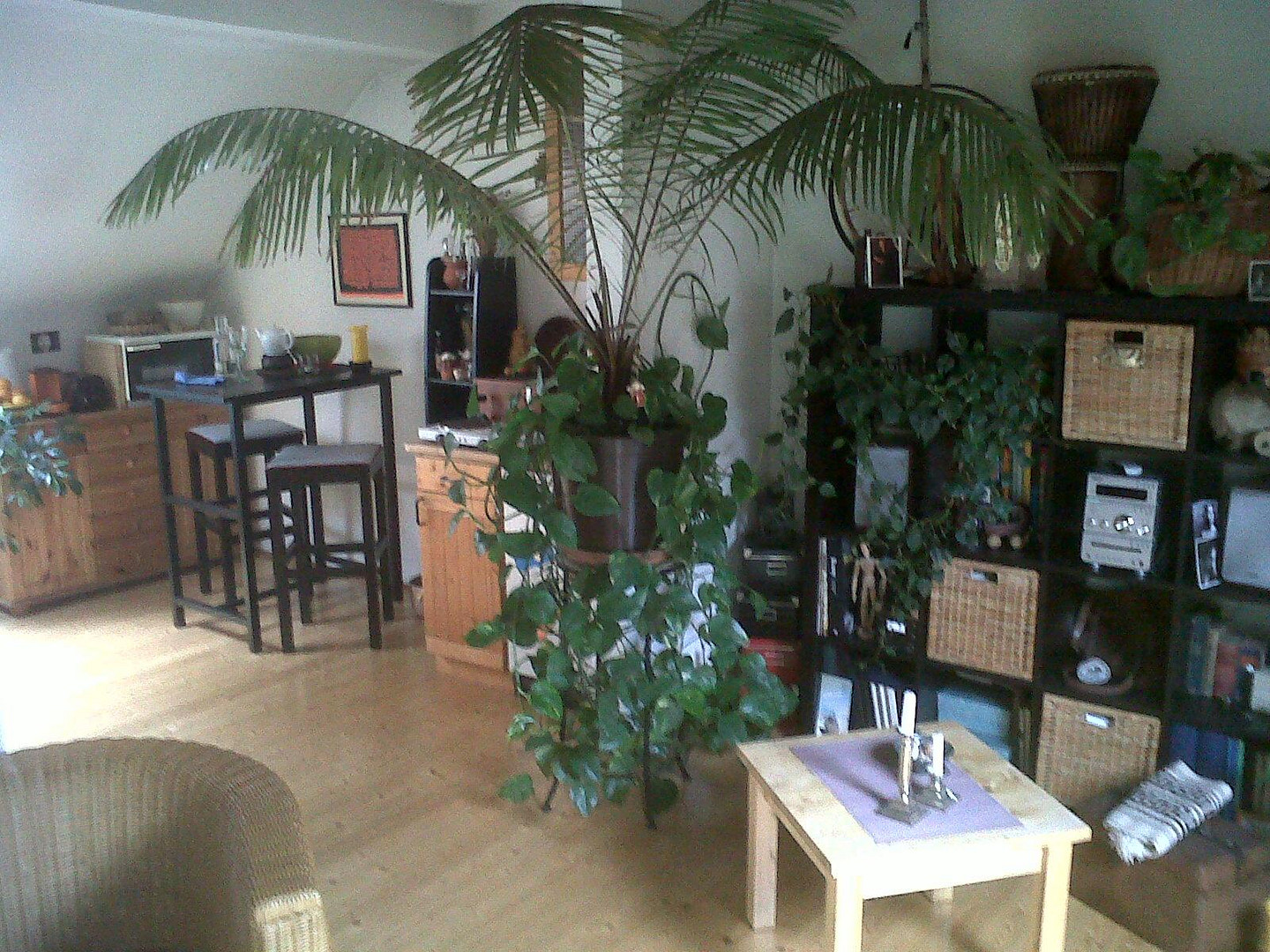 Schmuckstück 1 Zimmer DG-Apartment Aachen Innenstadt – Johanniterstr. 13, 52064 Aachen – Vorschaubild 6