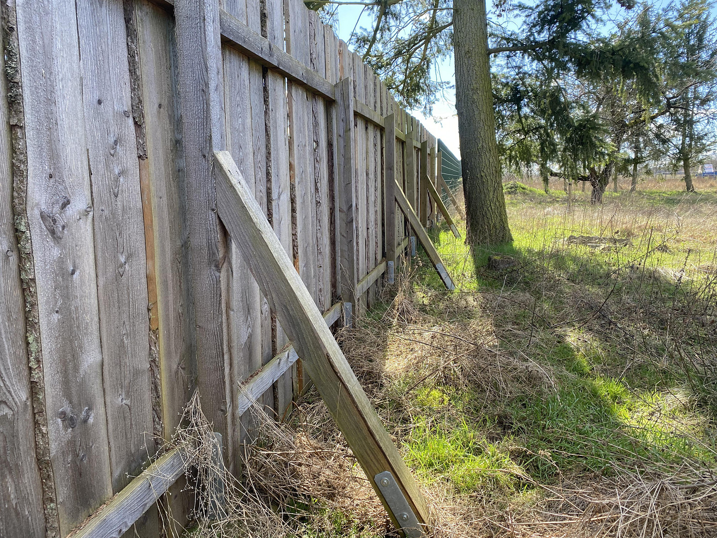 Geschützter Vierseithof mit mehreren Nebengebäuden und weitläufigem Garten – Klosterwalder Dorfstraße 40, 17268 Templin(Klosterwalde) – Vorschaubild 17