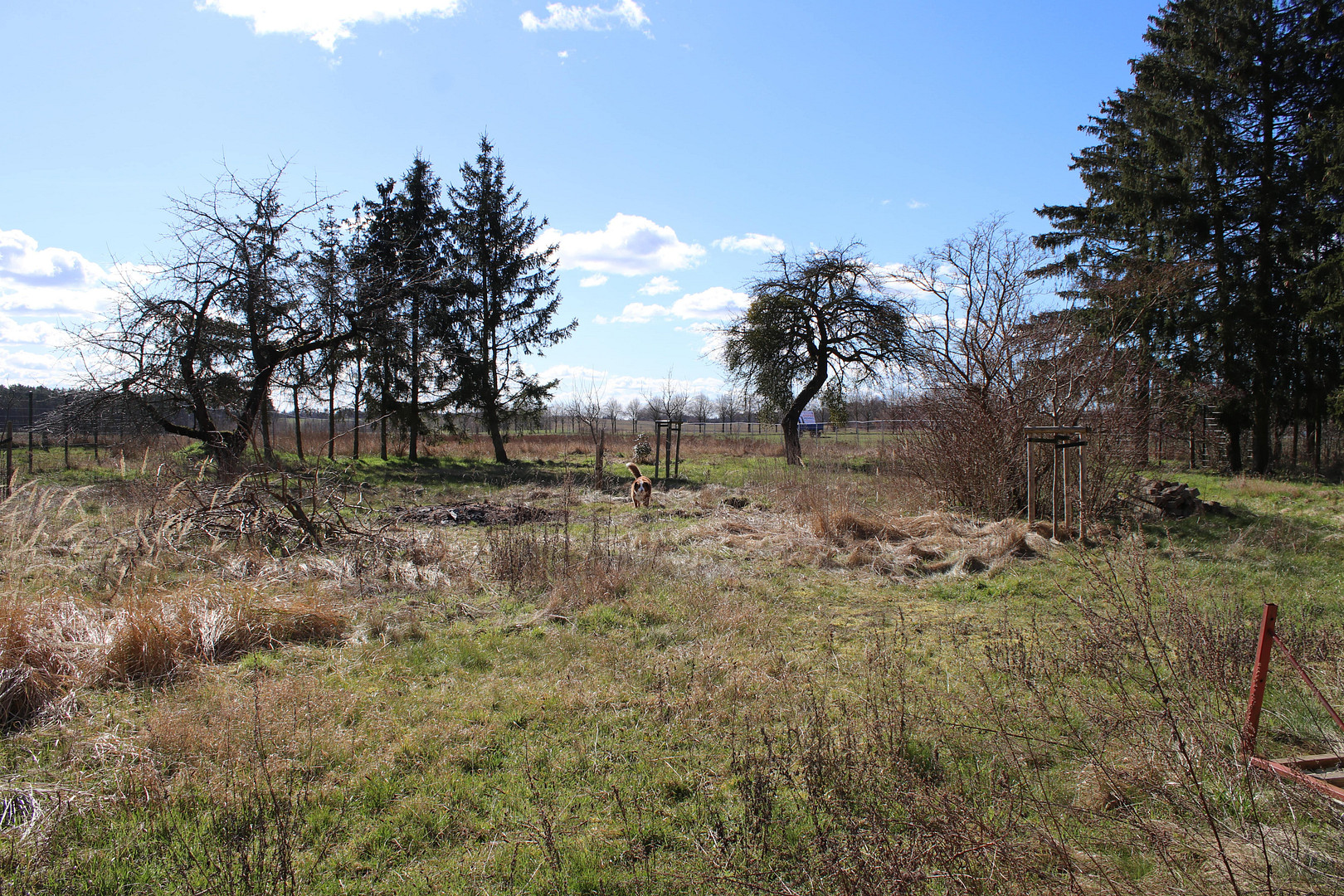 Geschützter Vierseithof mit mehreren Nebengebäuden und weitläufigem Garten – Klosterwalder Dorfstraße 40, 17268 Templin(Klosterwalde) – Vorschaubild 15