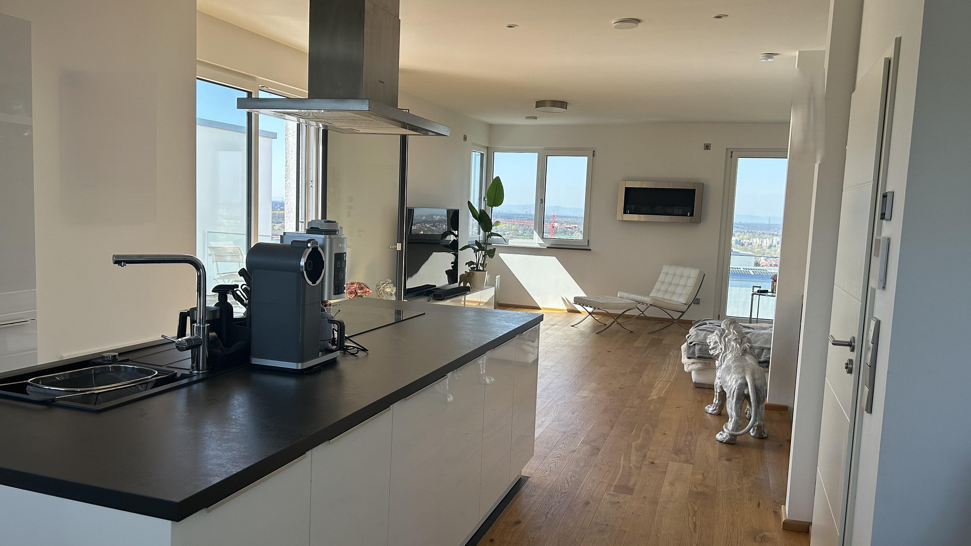 Luxuriöses Niedrigenergiehaus - beste Lage, traumhaften Blick über die Metropolregion Rhein-Neckar – Nußloch – Vorschaubild 6