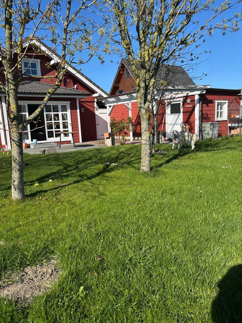 Charmanter Holzbungalow auf Eckgrundstück – Tönning – Vorschaubild 12
