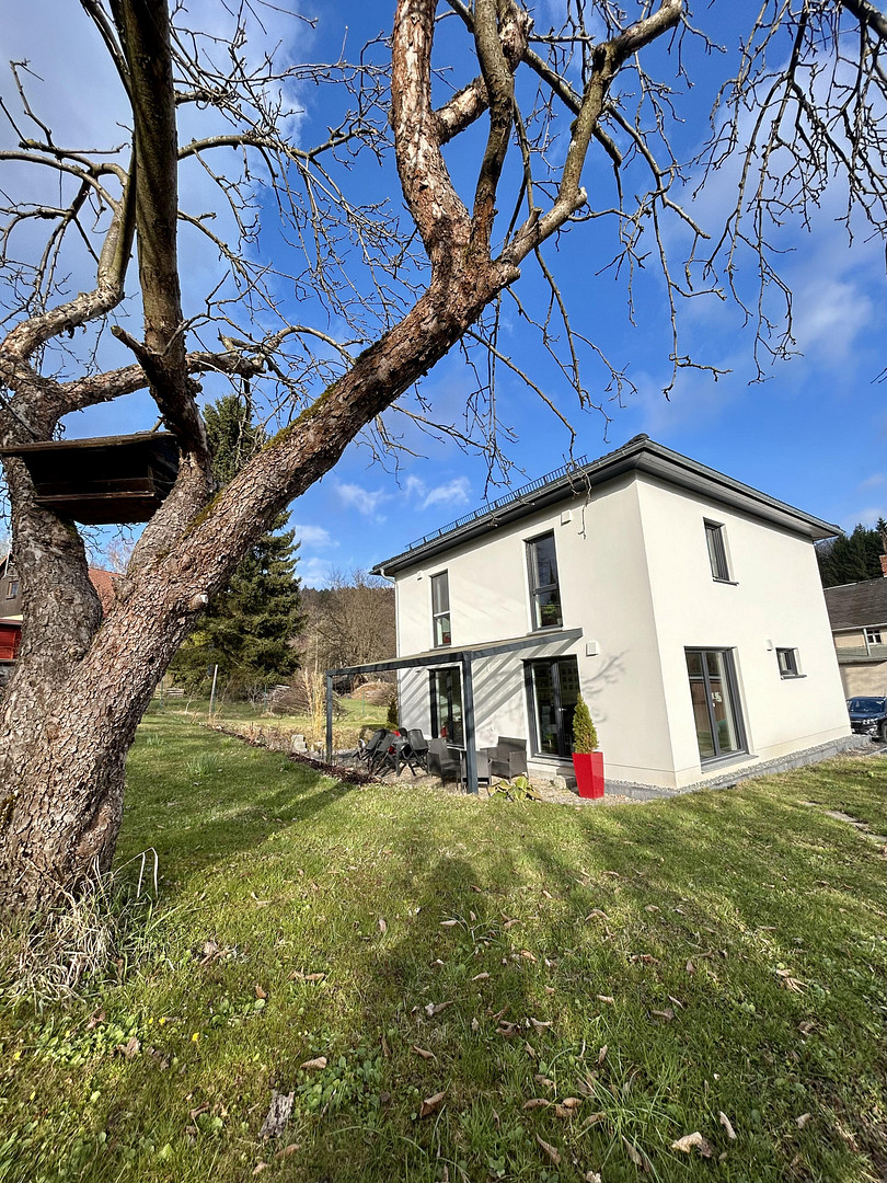 Stilvolle Stadtvilla in naturnaher Traumlage – modernes Wohnen mit Lebensqualität – 09573 Gornau OT Dittmannsdorf(Dittmannsdorf) – Vorschaubild 3