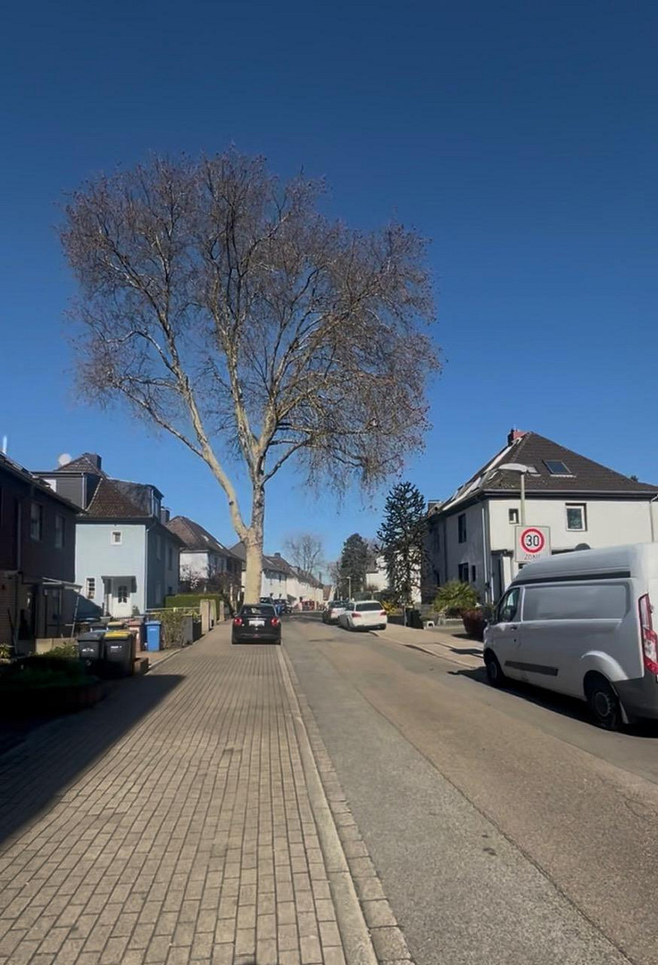 Wohn- und Geschäftshaus 299m2 Wohn- und Gewerbefläche für  1.000 EUR / m2 – Nikolausstr. 1, 45141 Essen(Stoppenberg) – Vorschaubild 6