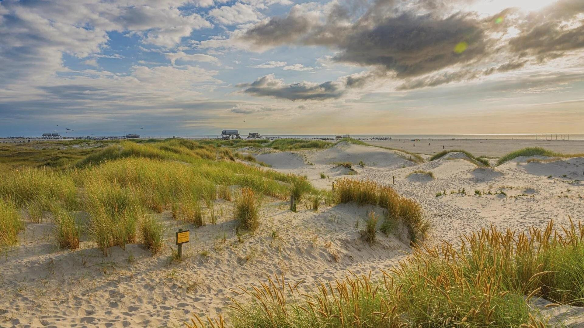 Rarität auf Eiderstedt – Traumwohnung nahe St. Peter-Ording & Nordsee | Provisionsfrei – Vollerwiek – Vorschaubild 34