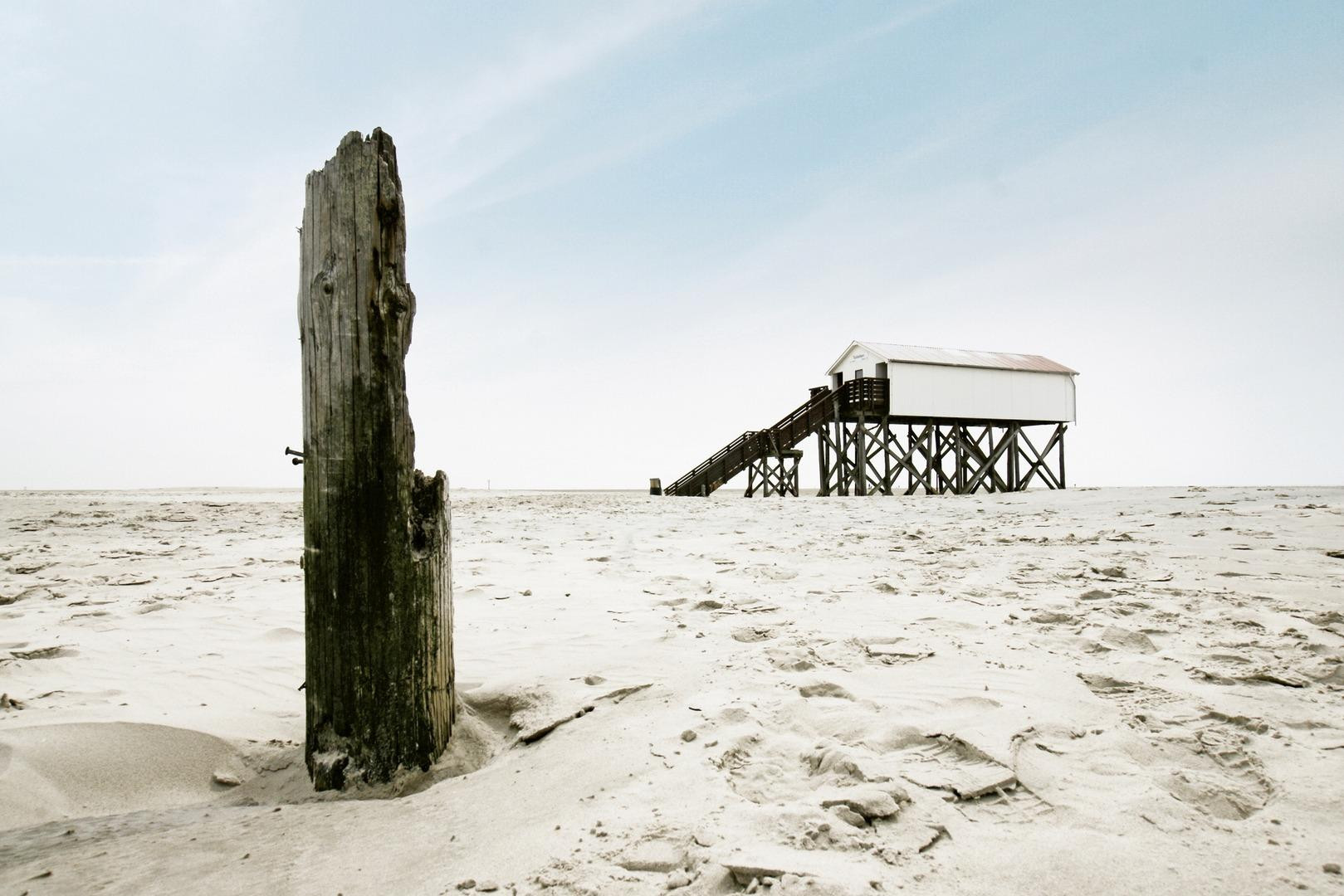 Rarität auf Eiderstedt – Traumwohnung nahe St. Peter-Ording & Nordsee | Provisionsfrei – Vollerwiek – Vorschaubild 32