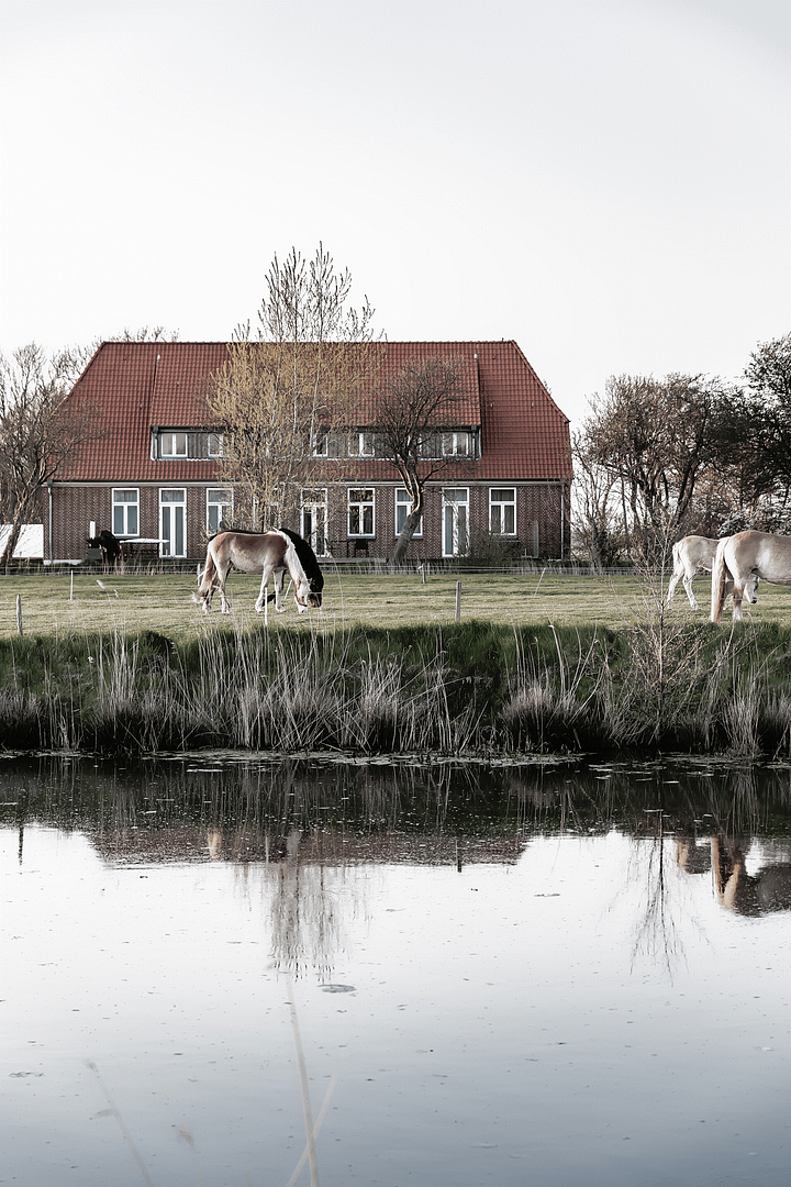 Rarität auf Eiderstedt – Traumwohnung nahe St. Peter-Ording & Nordsee | Provisionsfrei – Vollerwiek – Vorschaubild 21