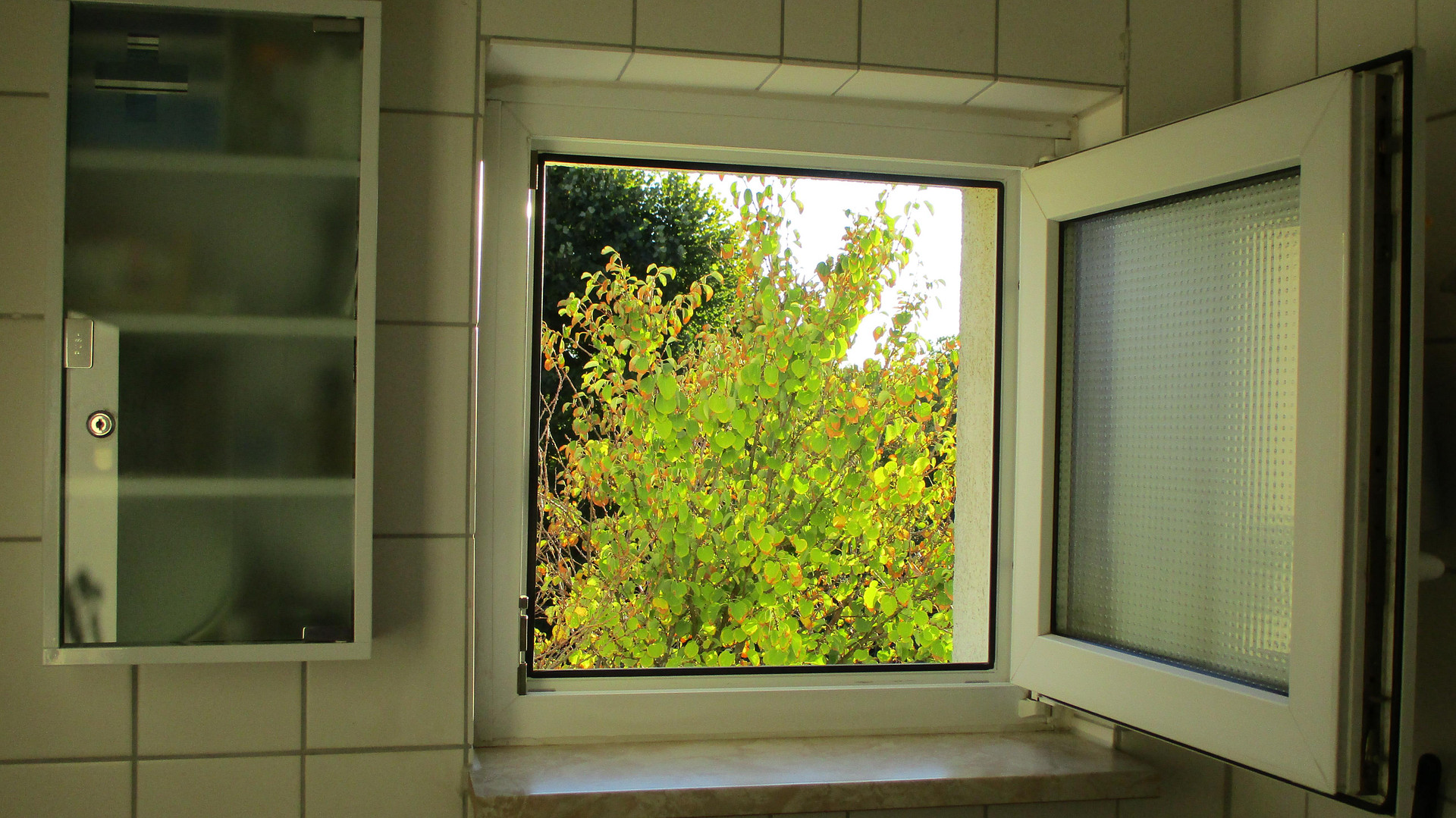 2,5-Zimmer mit EBK, Balkon, Tageslichtbad, Gästebad/WC und Abstellraum provisionsfrei – Stuttgart-Degerloch(Degerloch) – Vorschaubild 23
