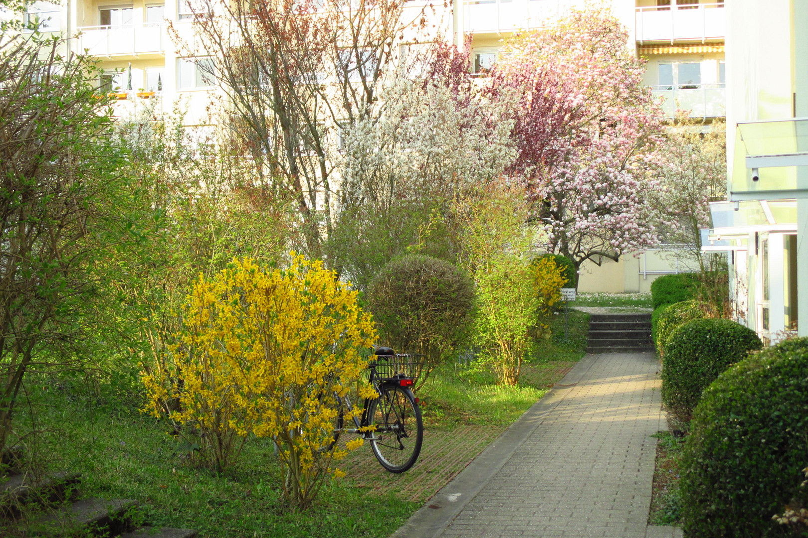 2,5-Zimmer mit EBK, Balkon, Tageslichtbad, Gästebad/WC und Abstellraum provisionsfrei – Stuttgart-Degerloch(Degerloch) – Vorschaubild 4