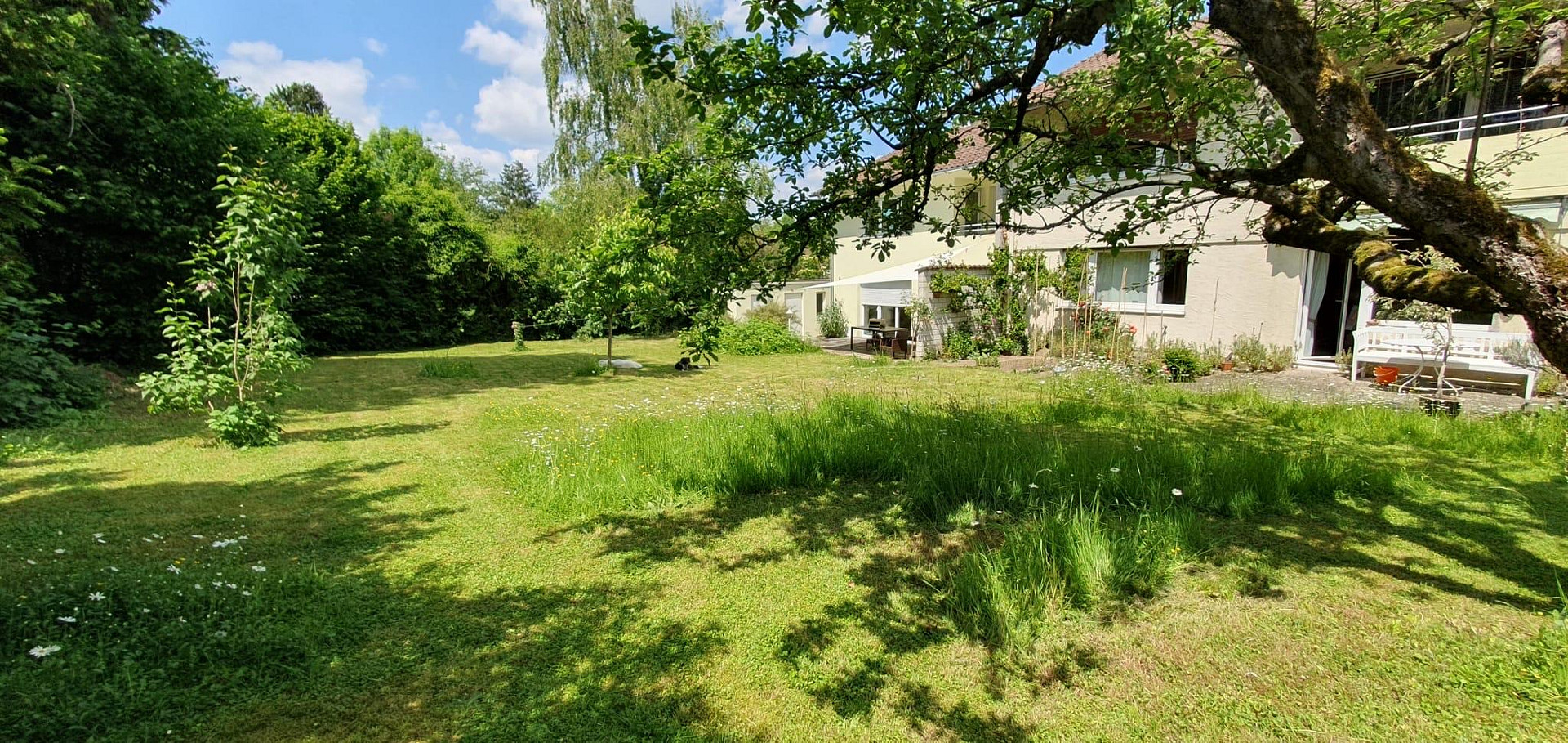 DHH - großer Garten - Freiburg St. Georgen - ohne Maklerprovision – Freiburg im Breisgau(Sankt Georgen) – Vorschaubild 13
