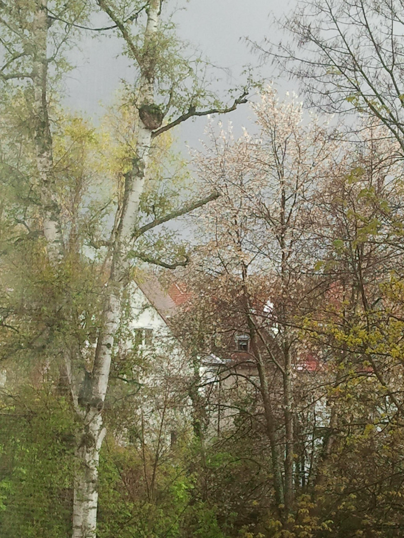Degerloch-Haigst - Sonnige 2,5-Zimmer-Wohnung mit Balkon & Weitblick – Stuttgart(Degerloch) – Vorschaubild 8