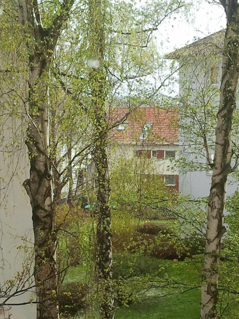 Degerloch-Haigst - Sonnige 2,5-Zimmer-Wohnung mit Balkon & Weitblick – Stuttgart(Degerloch) – Vorschaubild 7