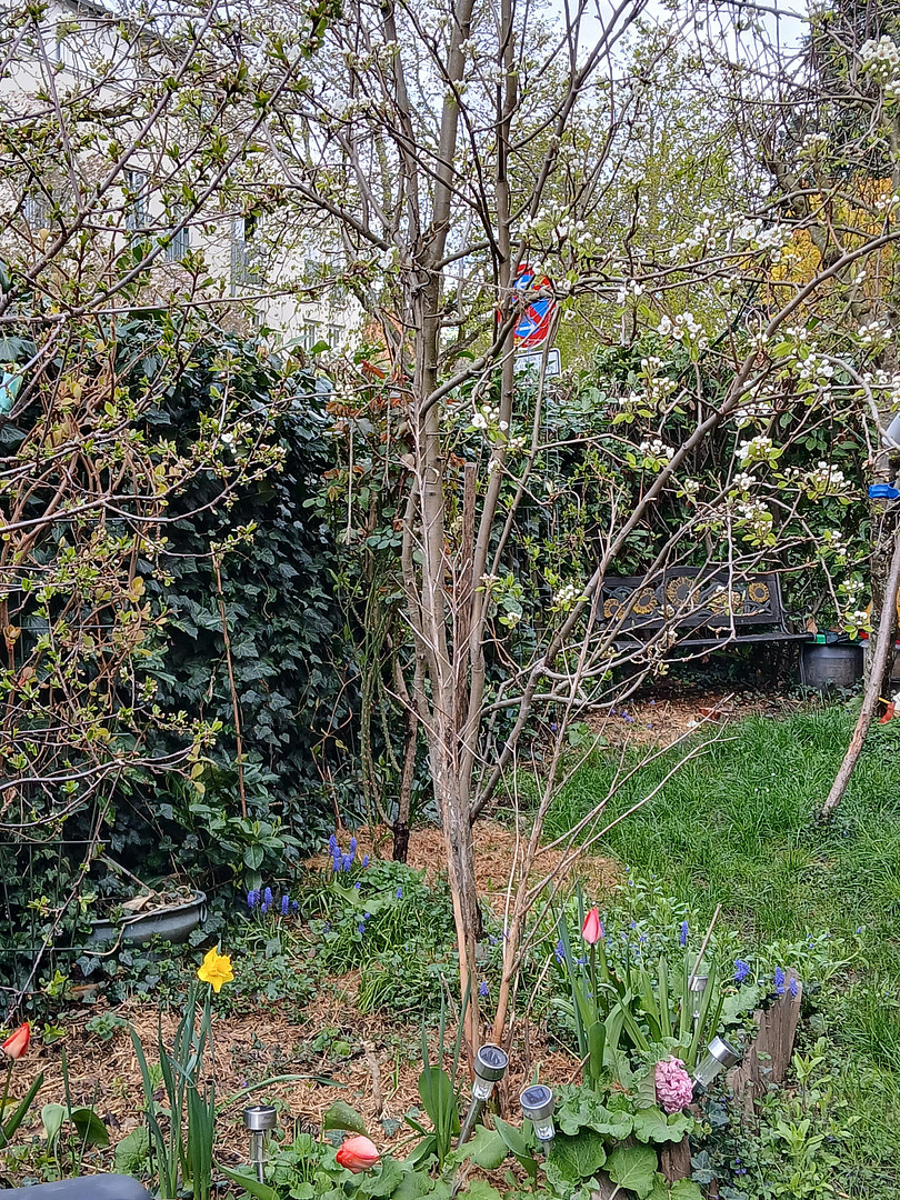 Ruhige Erdgeschosswohnung mit einmaligem Garten in zentraler Lage in der Unterwiehre – 79100 Freiburg(Wiehre) – Vorschaubild 13