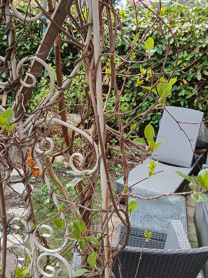 Ruhige Erdgeschosswohnung mit einmaligem Garten in zentraler Lage in der Unterwiehre – 79100 Freiburg(Wiehre) – Vorschaubild 11