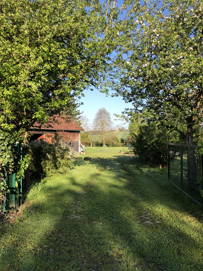 Modernisiertes Bauernhaus mit vielen Möglichkeiten in großem Grundstück – Schönau(Unterhöft) – Vorschaubild 36