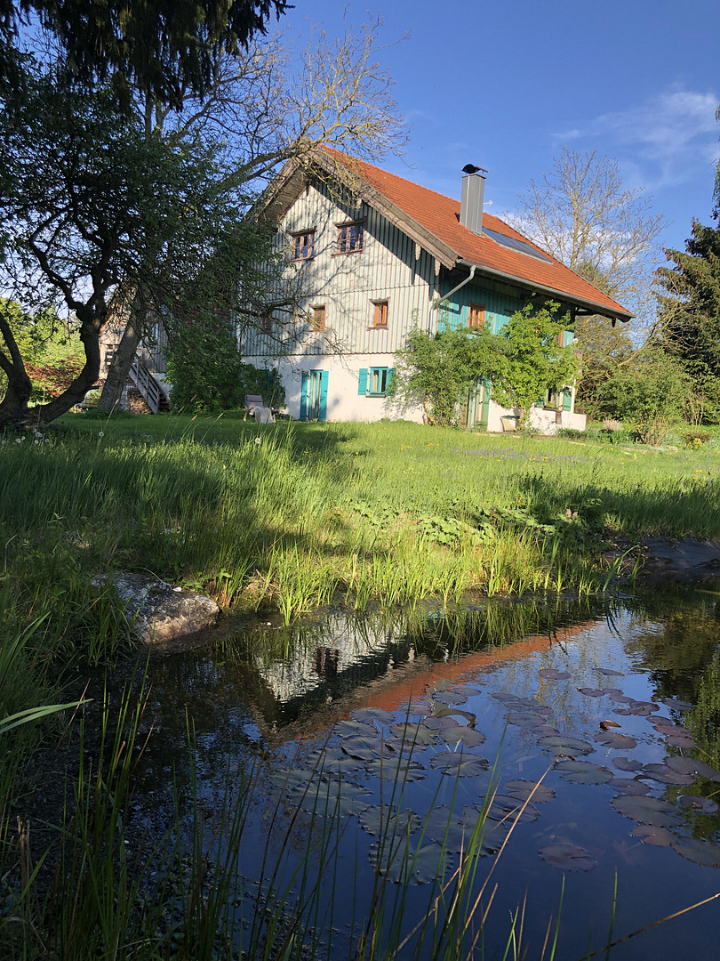 Modernisiertes Bauernhaus mit vielen Möglichkeiten in großem Grundstück – Schönau(Unterhöft) – Vorschaubild 10