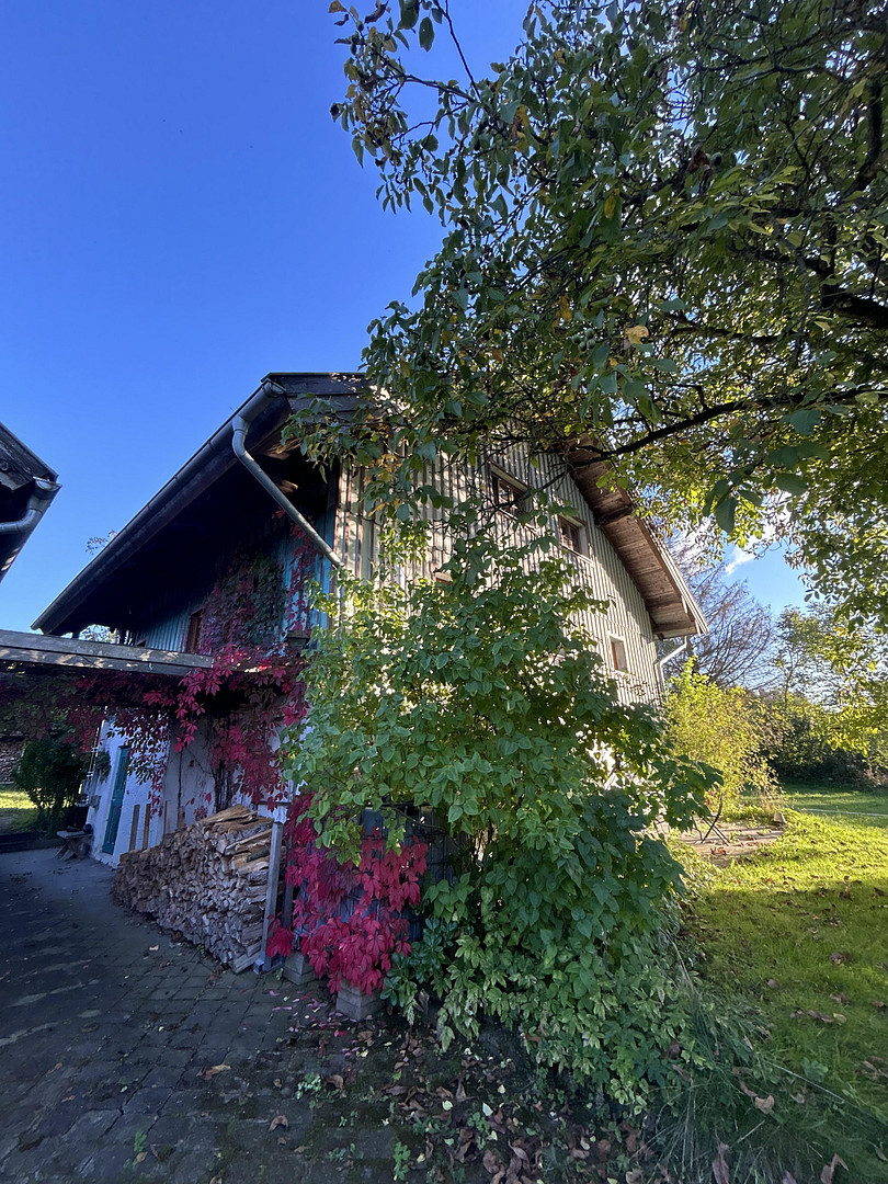 Modernisiertes Bauernhaus mit vielen Möglichkeiten in großem Grundstück – Schönau(Unterhöft) – Vorschaubild 12