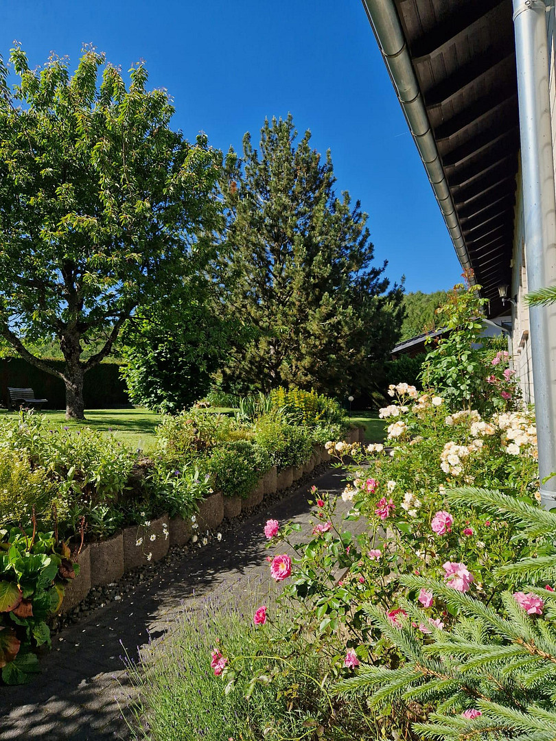 Großzügiges Einfamilienhaus mit Einliegerwohnung in toller Lage -keine Maklergebühr- – Mengerskirchen-Dillhausen(Dillhausen) – Vorschaubild 11