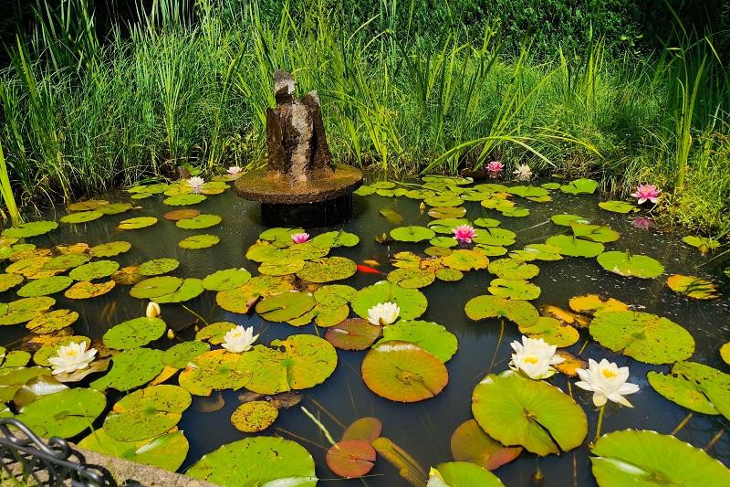 Großzügiges Einfamilienhaus mit Einliegerwohnung in toller Lage -keine Maklergebühr- – Mengerskirchen-Dillhausen(Dillhausen) – Vorschaubild 15