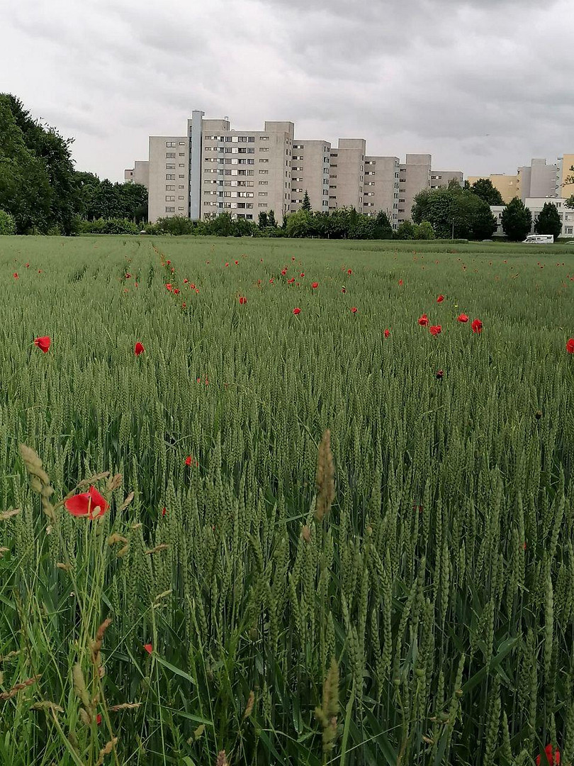 Stilvolle 3,5-Zimmer Penthousewohnung (ca. 95 m²) in Stuttgart-Möhringen – Stuttgart(Möhringen) – Vorschaubild 24