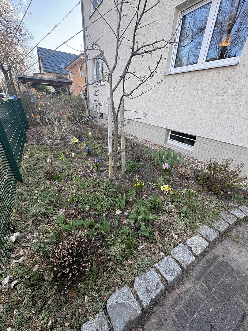 freistehendes Einfamilienhaus mit Garten in ruhiger Wohnlage – Berlin(Mahlsdorf) – Vorschaubild 25