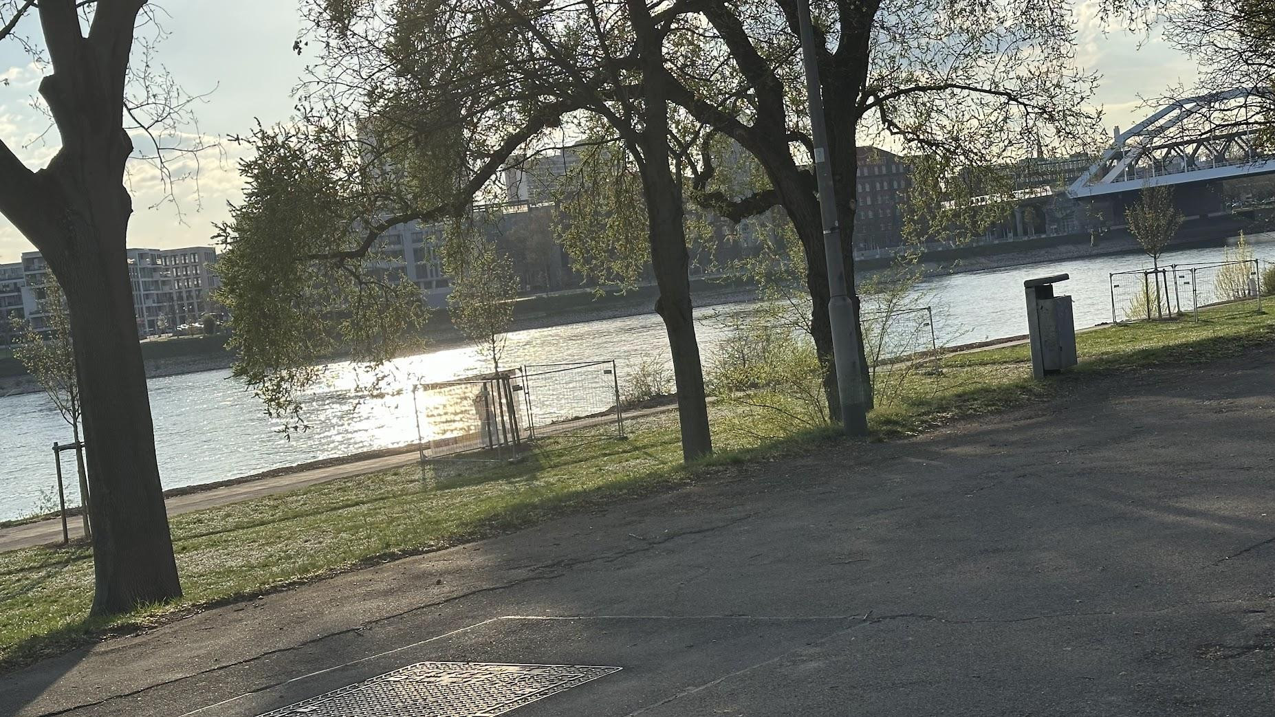Kapitalanlage, Stephanien Ufer in erster Reihe am Rhein 3-Zimmer, modernisiert – 68163 Mannheim OT Lindenhof(Neckarau) – Vorschaubild 4